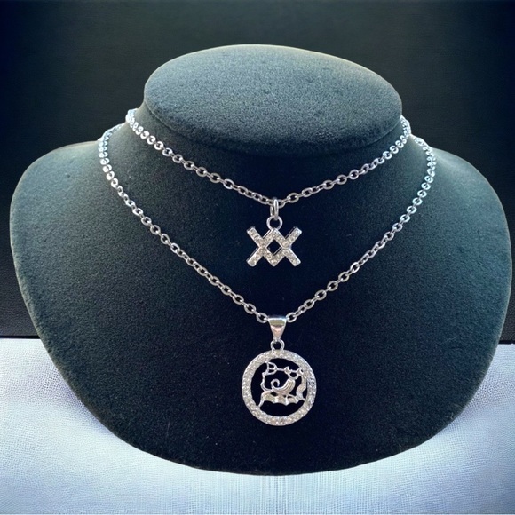 βοΈ AQUARIUS zodiac sign double layer stainless steel & cubic zirconia necklace - Picture 1 of 13